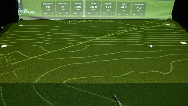 Puttview